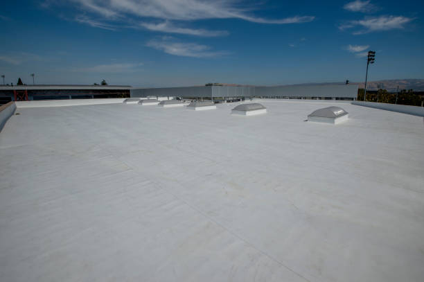 Best Roof Maintenance  in Haworth, NJ